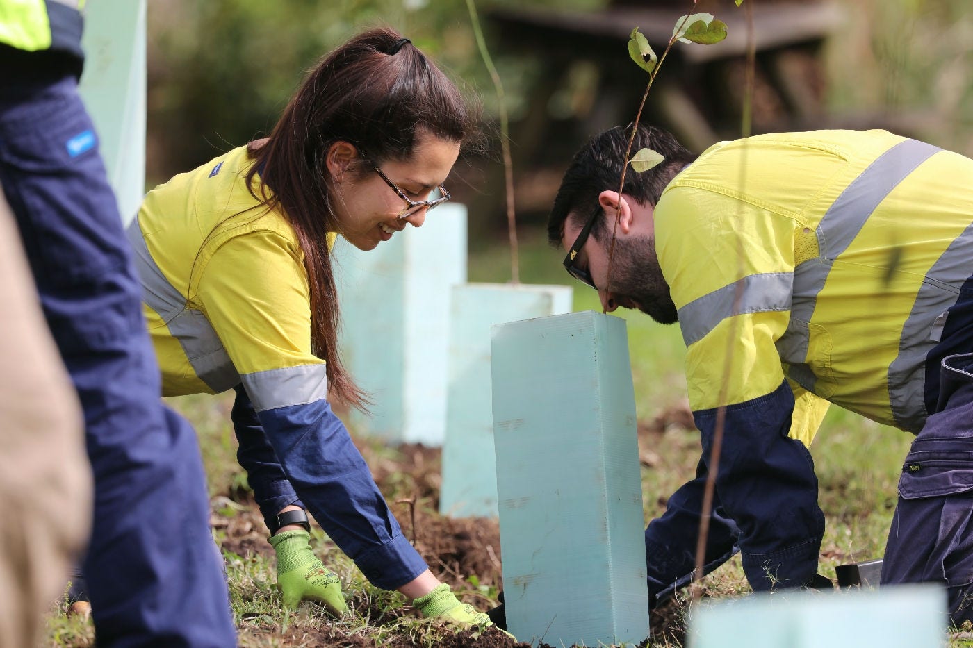 Two employees involved in environmental activity