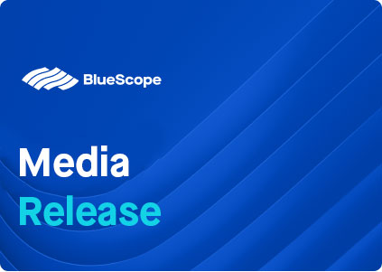 Fatal Incident at the Port Kembla Steelworks